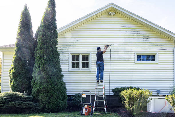 Best Deck Cleaning Services  in George West, TX